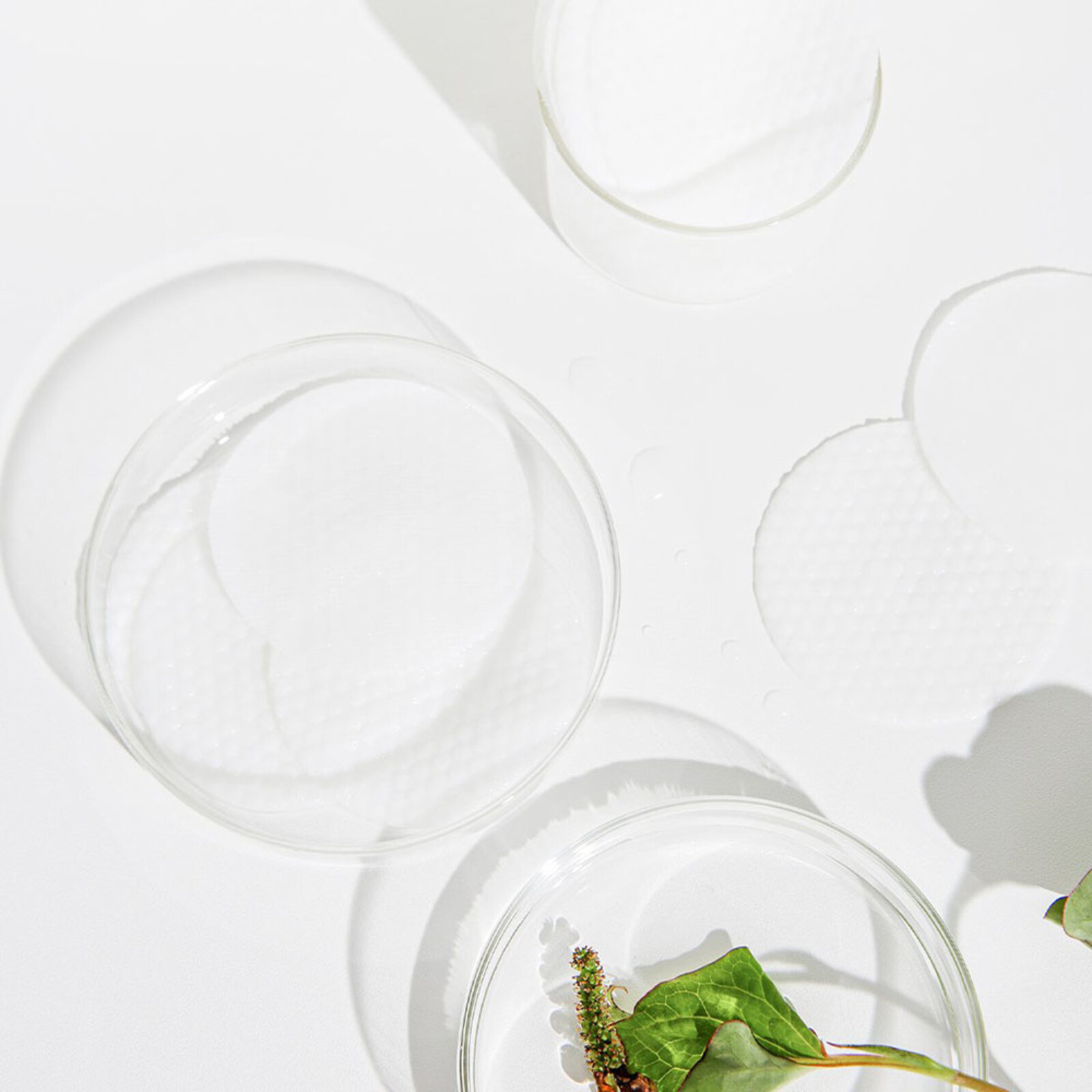 Celimax Jiwoogae Heartleaf Bha Peeling Pad