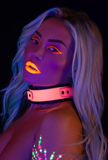 TABOOM GLOW IN THE DARK COLLAR AND CHAIN LEASH