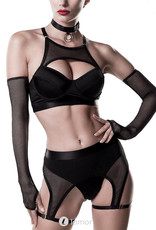 * GREY VELVET 5-delige erotische lingerie set van Grey Velvet