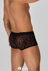 * NOIR handmade Leopard Flock heren short van Noir Handmade