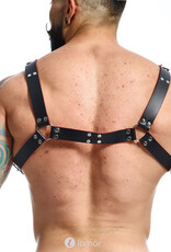 * MOB Eroticwear Sexy heren DNGEON  Harness Belts