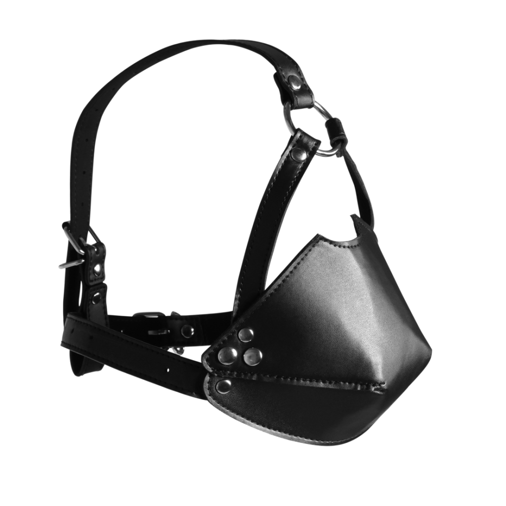 Ouch! by Shots Head Harness with Mouth Cover and Solid Ball Gag - Black
