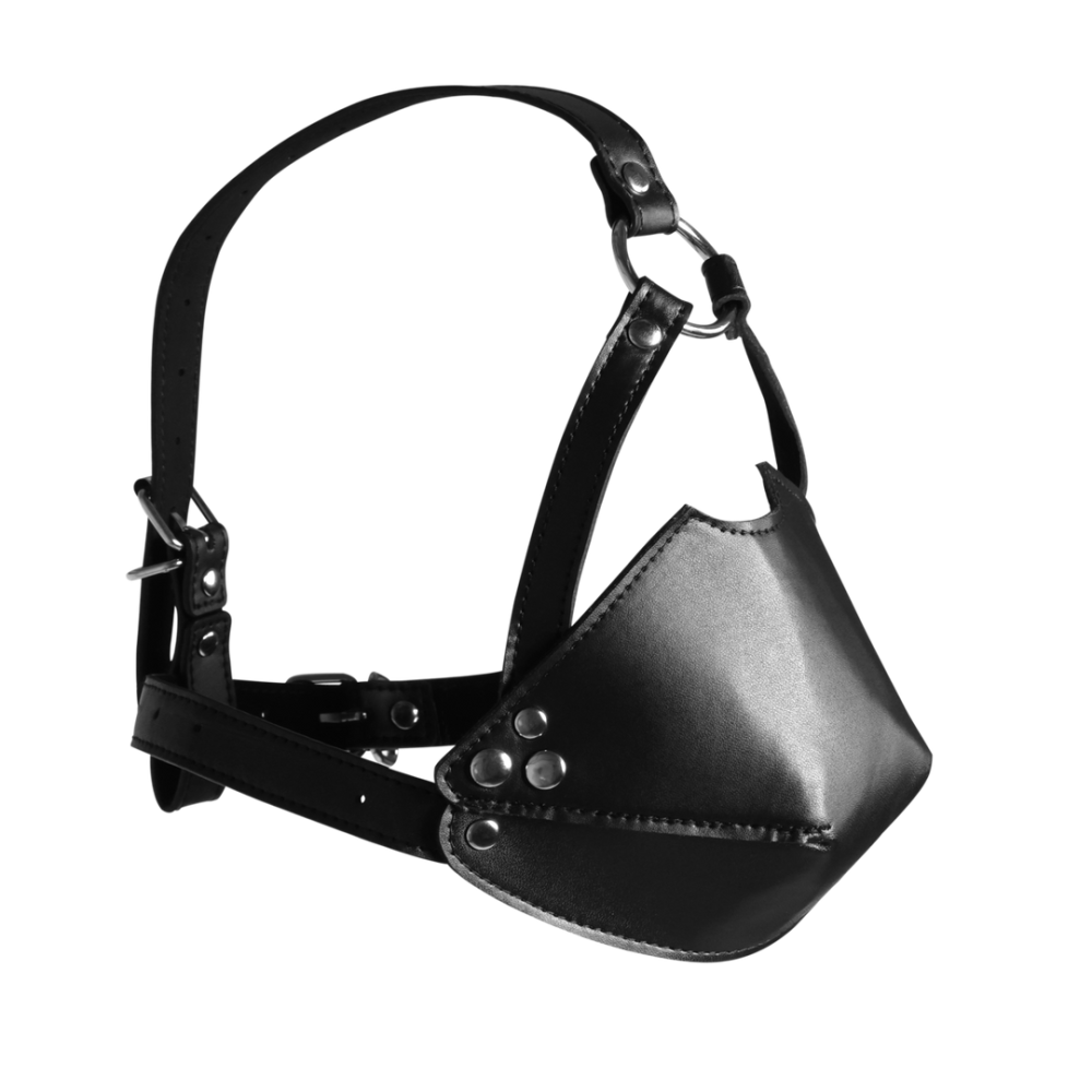 Ouch! by Shots Hoofdbeugel met Mondmasker en Stevige Ballgag - Zwart