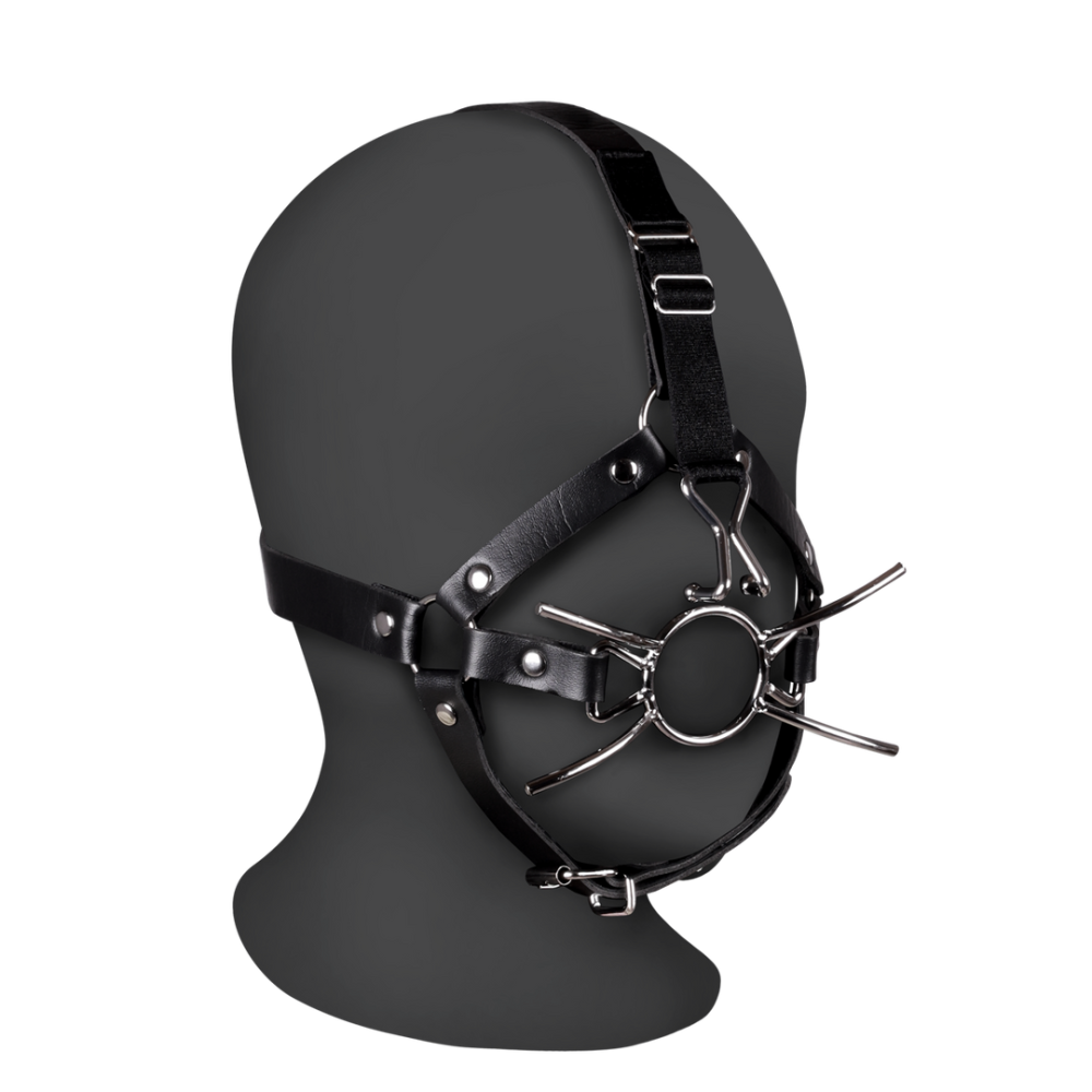 Image of Ouch! by Shots Head Harness with Spider Gag and Nose Hooks - Black