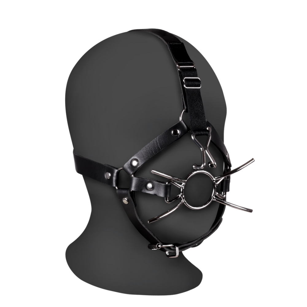 Ouch! by Shots Head Harness with Spider Gag and Nose Hooks - Black