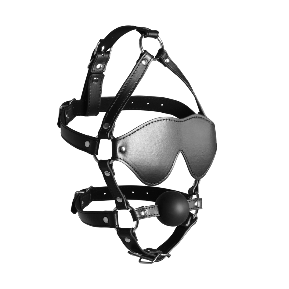 Ouch! by Shots Blindfolded Head Harness with Solid Ball Gag - Black