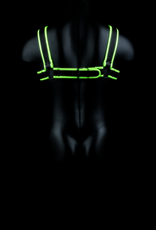 Ouch! by Shots Chest Bulldog Harness - Glow in the Dark - L/XL