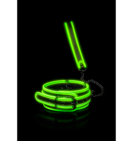 Ouch! by Shots Collar and Leash - Glow in the Dark