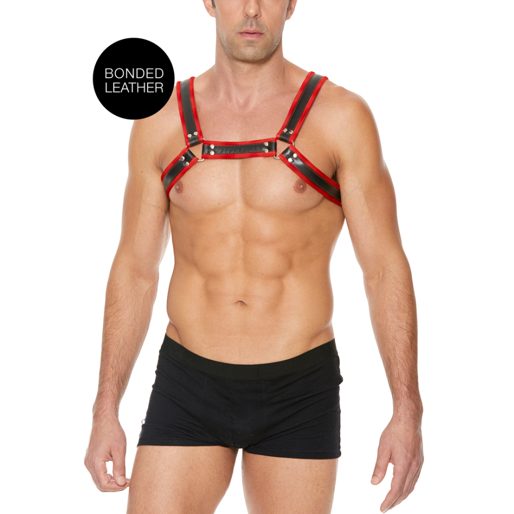 Image of Ouch! by Shots Leather Bulldog Harness with Buckles - S/M