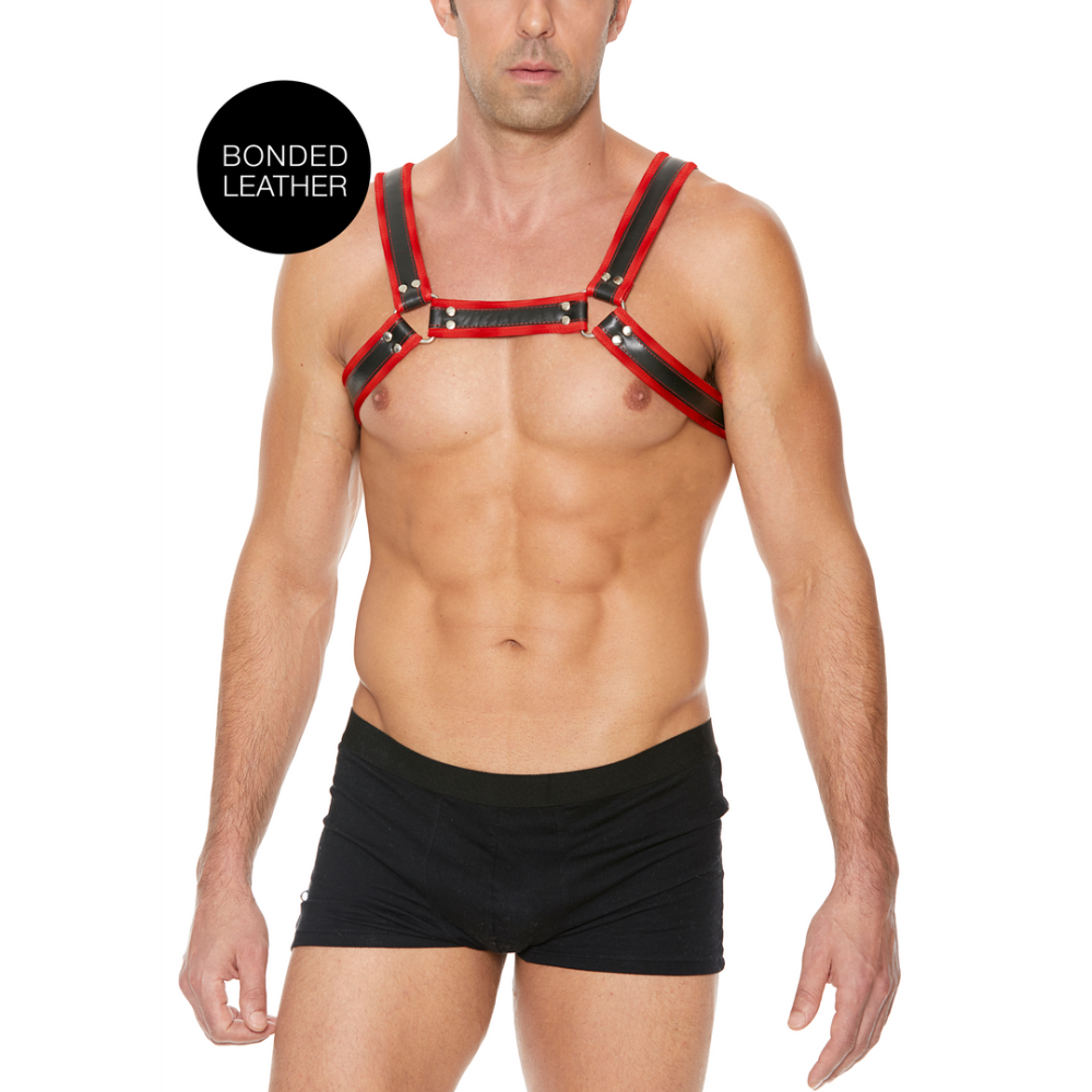 Image of Ouch! by Shots Leather Bulldog Harness with Buckles - L/XL