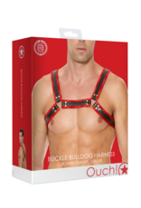 Ouch! by Shots Leather Bulldog Harness with Buckles - L/XL