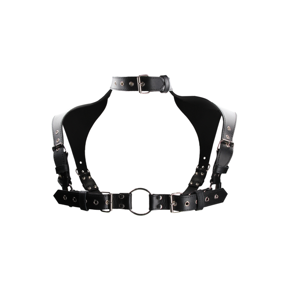 Ouch! by Shots Men's Harness with Collar - One Size