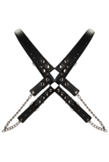 Ouch! by Shots Men's Chain Harness