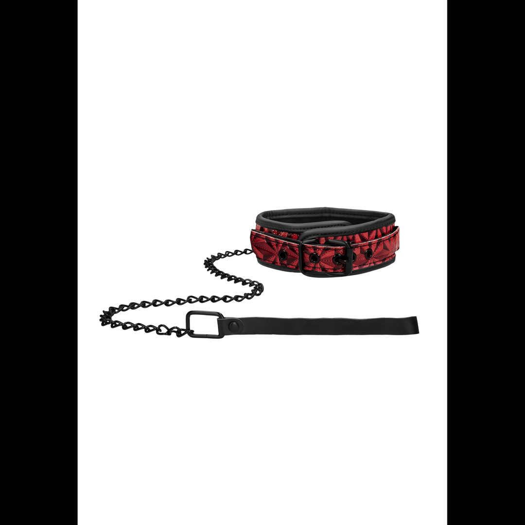 Ouch! by Shots Collar with Leash