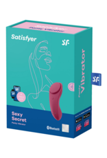 Sexy Secret - Panties Vibrator