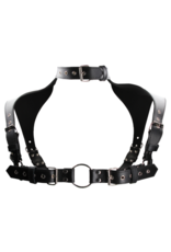 Ouch! by Shots Men Harness with Neck Collar