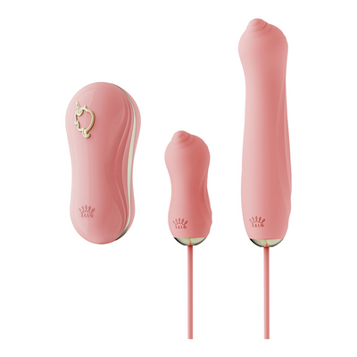 Image of Zalo Sucking Vibrator with Pump and Different Attachments