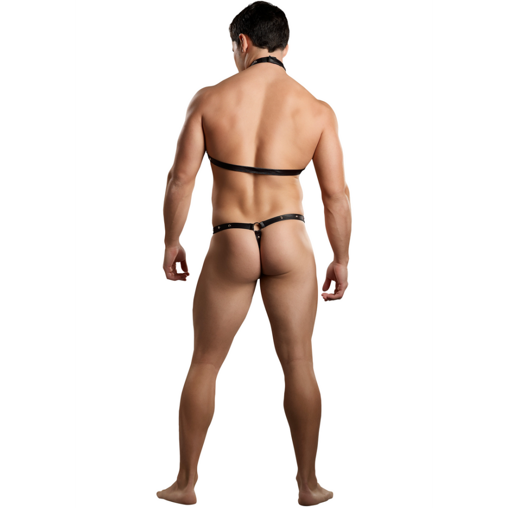 Male Power Gladiator - Thong Attached to Harness with Choker - L/XL - Black