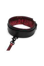 Fifty Shades Of Grey Sweet Anticipation - Collar and Leash