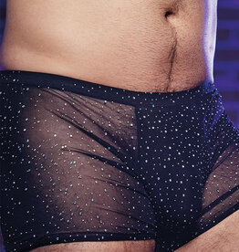 * CALEXOTICS Radiance Boxer Brief, CE12278