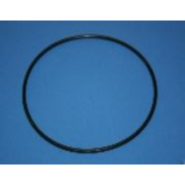 O-Ring, Hydraulic Cylinder Head, 100S