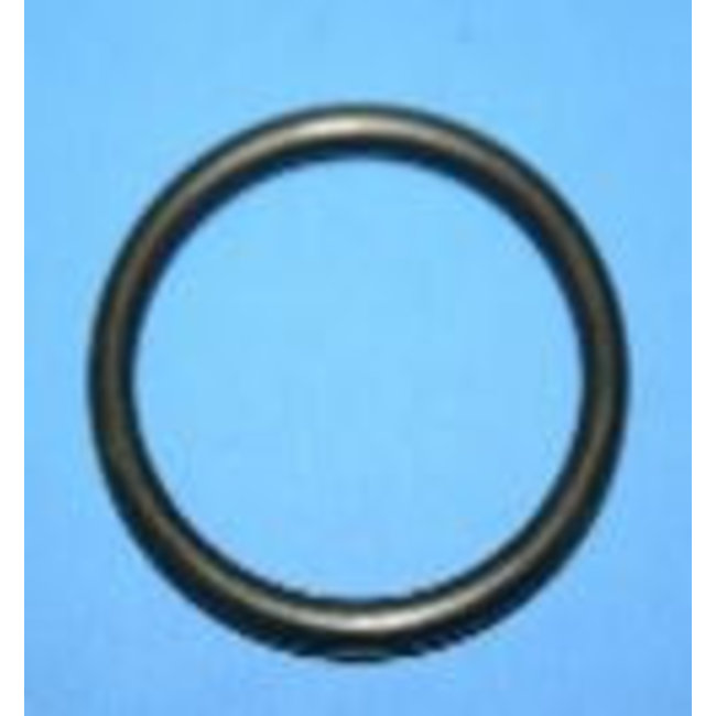 O-Ring, Mounting Stem, 100S