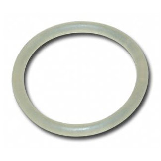 O-Ring (Part Of 303019)