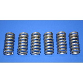 Spring Kit, Normally Closed Pneumatic Valve, Six Springs, SS