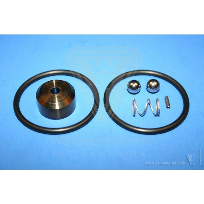 Repair kit, Check Valve Assy.