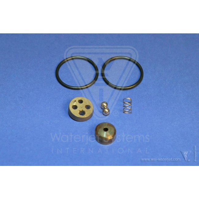 Repair kit, Check Valve Assy. WS2007