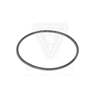 Back-Up Ring, Cylinder Head<br />
Per stuk