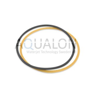 O-ring / Back-up ring BFT Style