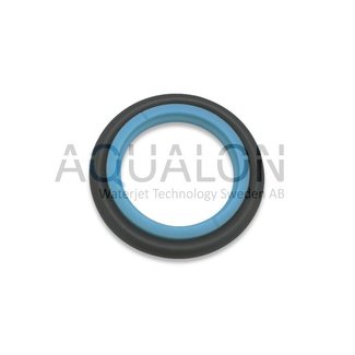 Rod sealing BFT Style