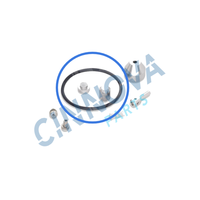 Avure HPP Style O-Ring – LD Afdichting voor Terugslagklep (AT07909)