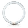 Philips  MASTER TL-E Circular 40W/840