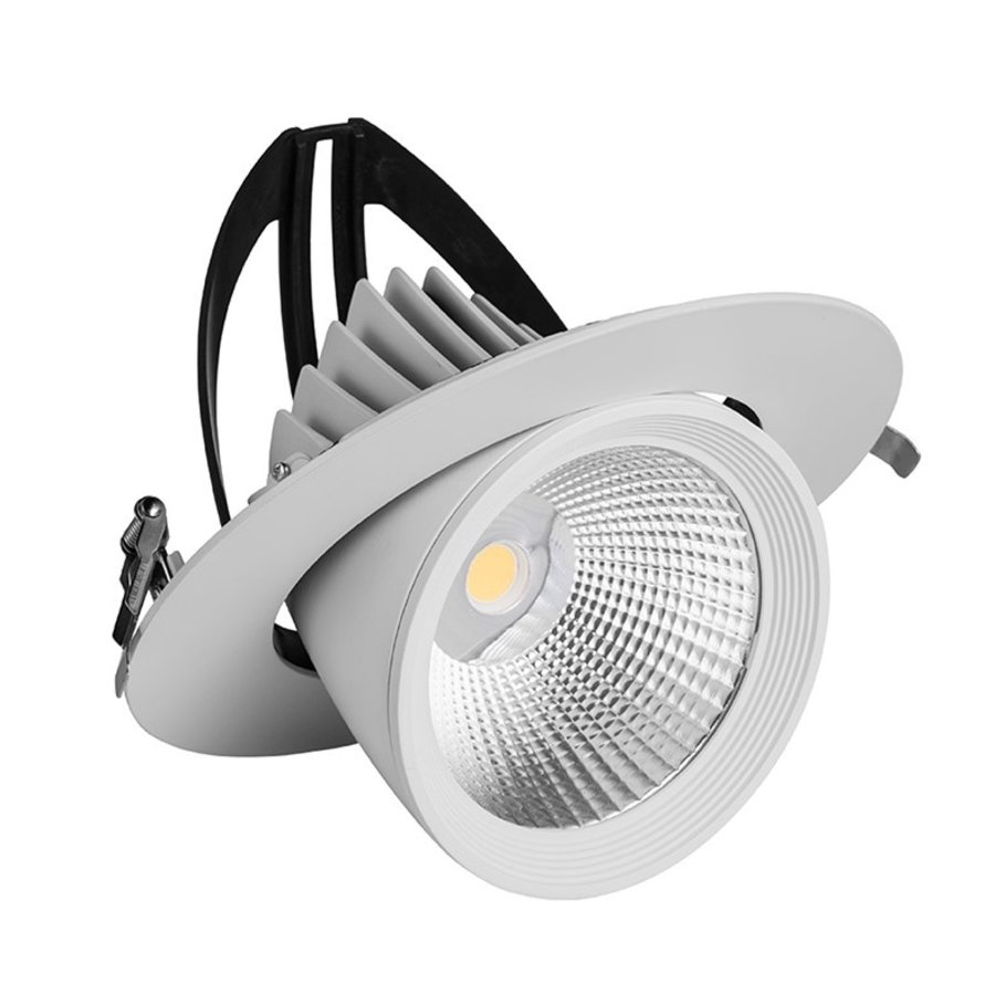 Downlight kantelbaar 40W Ø195-1