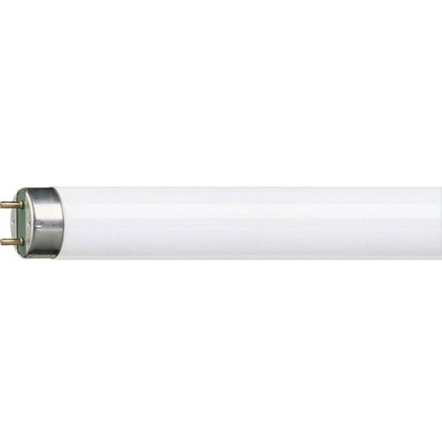 LAMP TL Mini 13W/840-1