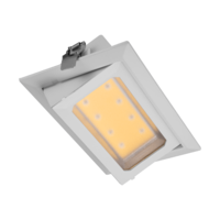 thumb-Downlight Kantelbaar 240x150 30W 4000K 2700Lumen-1