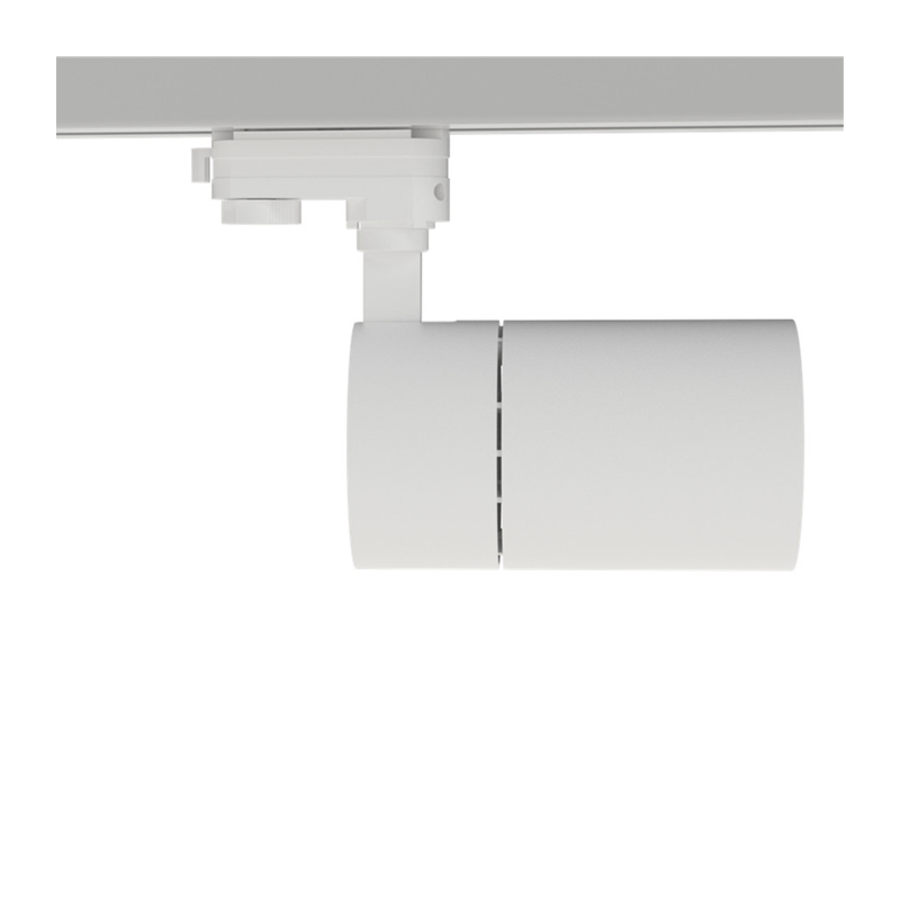 Railspot Rosalin 10W Wit CCT Switch Dimbaar-4