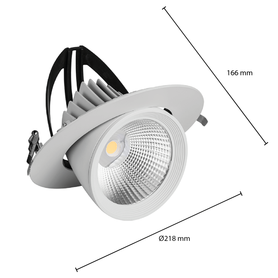 Downlight kantelbaar 40W Ø195-2