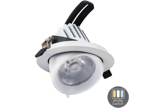  LED DOWNLIGHT | KANTELBAAR | Ø145 | 30W | WIT | WHITE SWITCH 