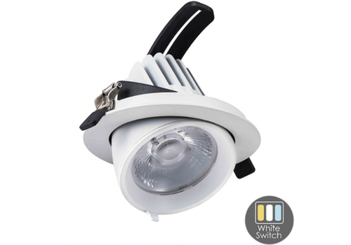  GHM Kantelbare Downlight  | Ø180 | 40W | CCT-Switch 