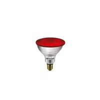 IR100R PAR38 E27 240V
