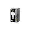Normaal Mat E27 7W 806LM Dimbaar