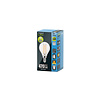 Integral Kogel Filament E14 3,4W 470LM Dimbaar