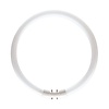 Circular Fluorescent Tube 2GX13 22W