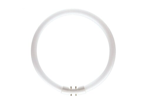  Patron Circular Fluorescent Tube 2GX13 22W 