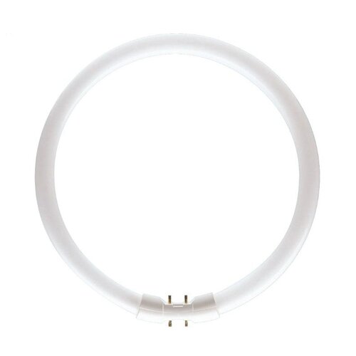  Patron Circular Fluorescent Tube 2GX13 22W 