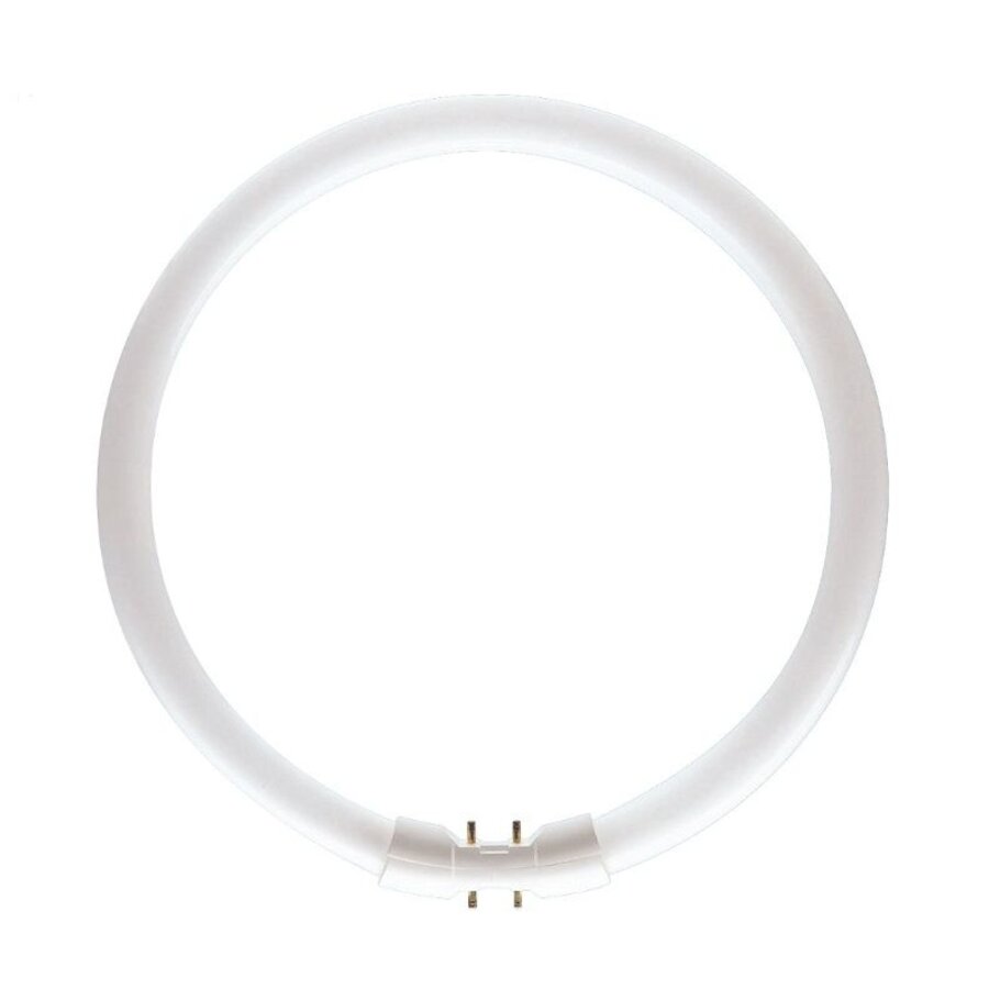 Circular Fluorescent Tube 2GX13 22W-1
