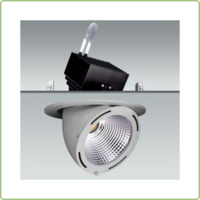 thumb-Downlight Richtbaar Grijs (incl.  vwb)-2